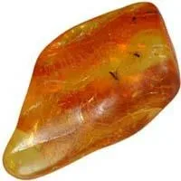 Baltic Amber