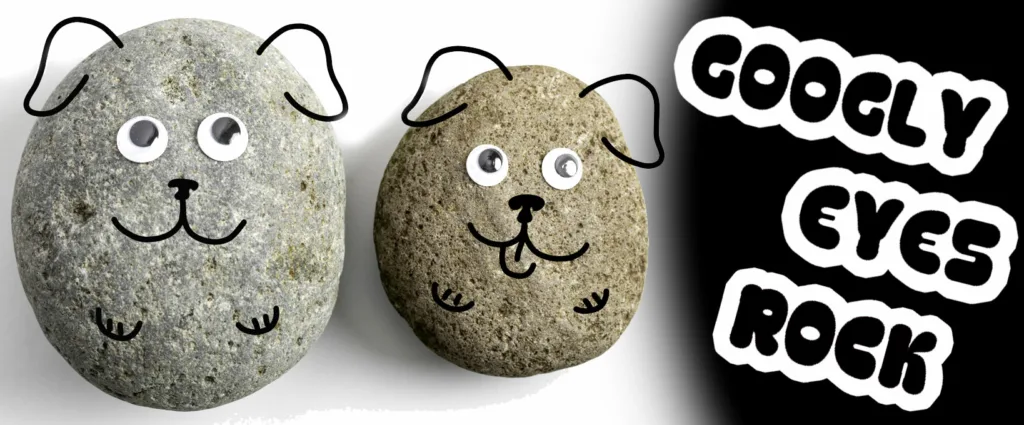 Googly Eyes Rock - Make your own rock pals