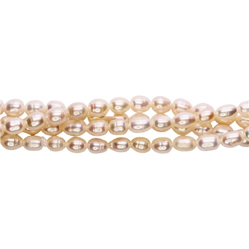 Freshwater Pearl 5-6mm Oval Cream Beads Strand