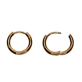 Titanium Steel Hoop Earring Gold Plated 14mm 12pk